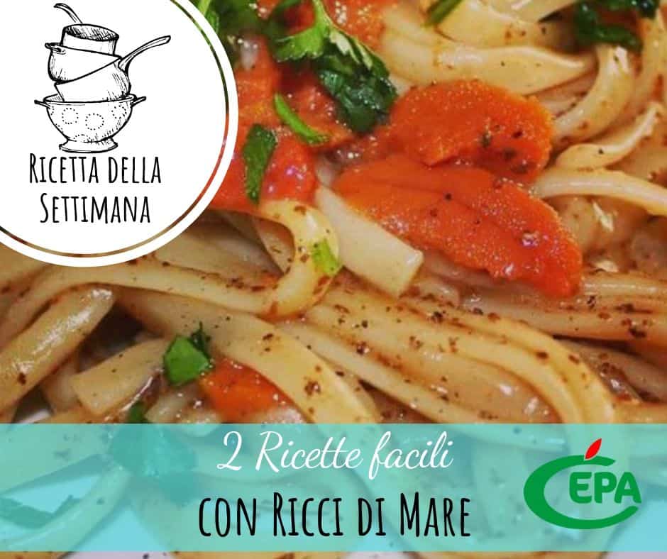 2 Ricette facili con Ricci di Mare